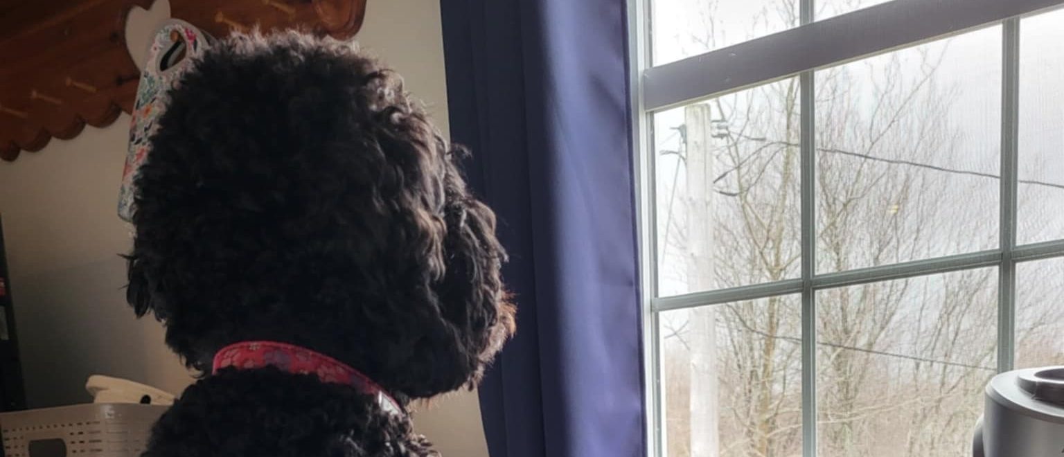 New Content! Holy crap!